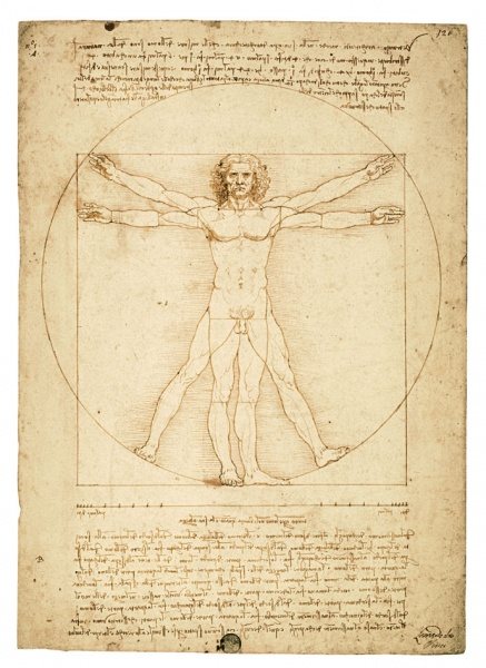 Resultado de imagen de da vinci anatomia